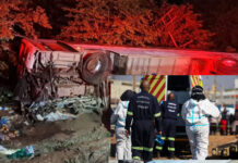 Bus to a Limpopo repatriation camp overturns near Beitbridge — One dead, 11 injured on the N1 near Musina