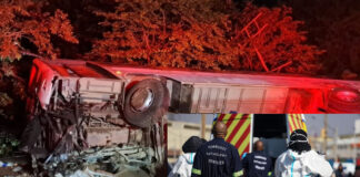 Bus to a Limpopo repatriation camp overturns near Beitbridge — One dead, 11 injured on the N1 near Musina