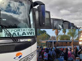 Chilling Tales Emerge Of Malawian Migrants Vanishing Mid-Repatriation From Buses! – South African Bus Driver Reveals Haunting Stories Of Passengers Vanishing Without A Trace!