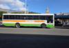 Woman Dies in Cape Town CBD Bus Crash, Golden Arrow Driver Suspended