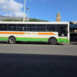 Woman Dies in Cape Town CBD Bus Crash, Golden Arrow Driver Suspended