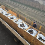 SAPS Destroys 11 859 Firearms in Nationwide Crackdown on Illegal Guns