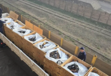 SAPS Destroys 11 859 Firearms in Nationwide Crackdown on Illegal Guns