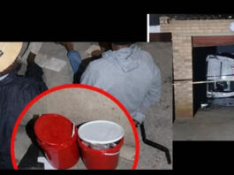 Soweto: Hijacked State Vehicle Found with Buckets of Human Organs – Two Arrested