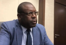 Zanu-PF MP Calls for Immediate Expulsion of 25,000 South Africans From Zimbabwe in Shocking New Tit-for-Tat Proposal!