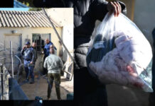 Malmesbury Massacre: Pregnant Woman Killed, One-Year-Old Shot in Face During Horrific Mass Shooting!