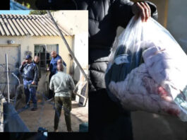 Malmesbury Massacre: Pregnant Woman Killed, One-Year-Old Shot in Face During Horrific Mass Shooting!