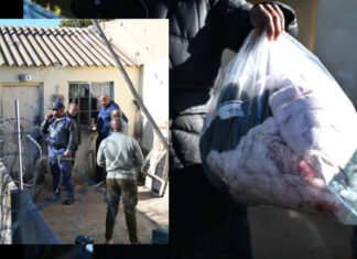 Malmesbury Massacre: Pregnant Woman Killed, One-Year-Old Shot in Face During Horrific Mass Shooting!