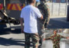 "I Want My Pants Back": Cape Flats Fashion Designer Humiliated After Soldiers Confiscate Custom Camouflage Trousers