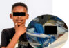 He walked through an open gate to fetch his brother — then five German Shepherds mauled him Boy (12) loses both ears and his lower lip in brutal dog attack