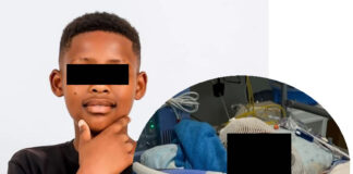 He walked through an open gate to fetch his brother — then five German Shepherds mauled him Boy (12) loses both ears and his lower lip in brutal dog attack