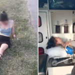 Escort’s Ordeal: Was She Drugged and Dumped, or Did a Client Encounter Go Horribly Wrong? Woman Found Incoherent on Roadside