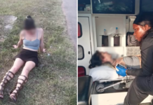 Escort’s Ordeal: Was She Drugged and Dumped, or Did a Client Encounter Go Horribly Wrong? Woman Found Incoherent on Roadside