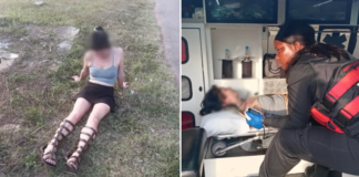 Escort’s Ordeal: Was She Drugged and Dumped, or Did a Client Encounter Go Horribly Wrong? Woman Found Incoherent on Roadside