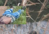 Bodies in the Streets, Fear in the Hearts: Cape Town Communities Too Scared to Speak as Three Men Found Dead