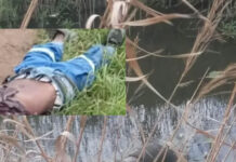 Bodies in the Streets, Fear in the Hearts: Cape Town Communities Too Scared to Speak as Three Men Found Dead
