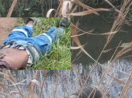 Bodies in the Streets, Fear in the Hearts: Cape Town Communities Too Scared to Speak as Three Men Found Dead