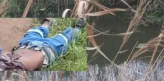 Bodies in the Streets, Fear in the Hearts: Cape Town Communities Too Scared to Speak as Three Men Found Dead