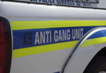 Two Anti-Gang Unit Officers Ambushed and Shot Dead During Night Patrol in Reiger Park