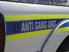 Two Anti-Gang Unit Officers Ambushed and Shot Dead During Night Patrol in Reiger Park