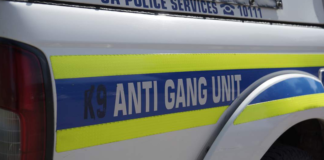 Two Anti-Gang Unit Officers Ambushed and Shot Dead During Night Patrol in Reiger Park