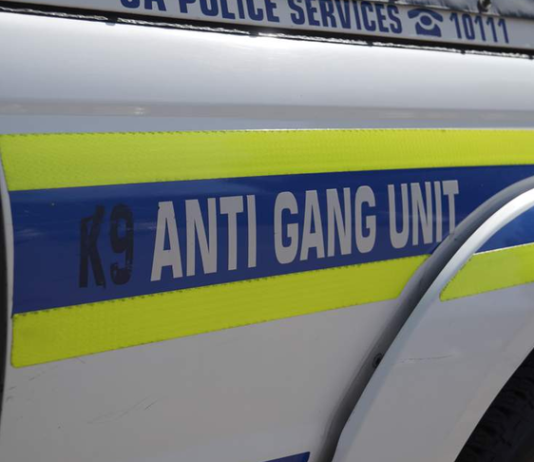 Two Anti-Gang Unit Officers Ambushed and Shot Dead During Night Patrol in Reiger Park