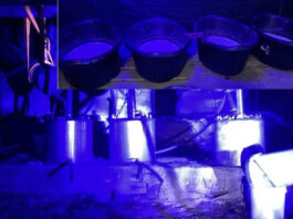 Mexicans, Zimbabweans And Malawian Among Five Arrested As Hawks Uncover Suspected R600 Million Crystal Meth Lab In Musina