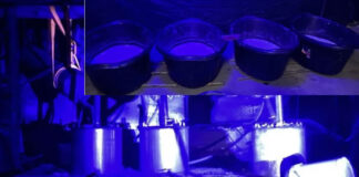 Mexicans, Zimbabweans And Malawian Among Five Arrested As Hawks Uncover Suspected R600 Million Crystal Meth Lab In Musina