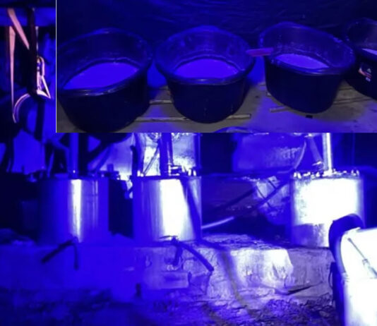 Mexicans, Zimbabweans And Malawian Among Five Arrested As Hawks Uncover Suspected R600 Million Crystal Meth Lab In Musina