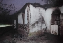 A Toy Gun, A Bin Bag And A Box Of Matches: She Killed Her Father And Burnt The House Down.