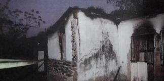 A Toy Gun, A Bin Bag And A Box Of Matches: She Killed Her Father And Burnt The House Down.