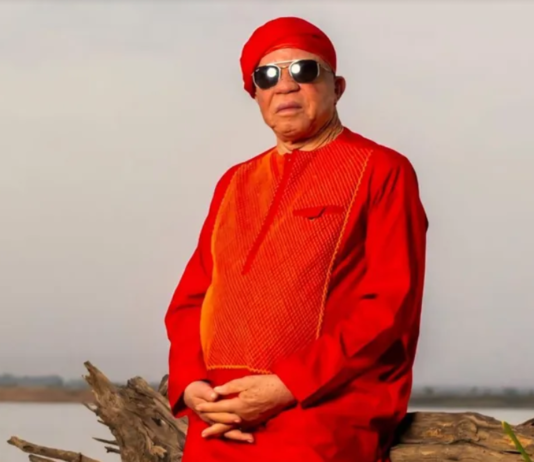 Salif Keita Cancels South African Concerts Over Violence Against African Migrants