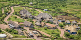 Jacob Zuma’s architect ordered to pay R147.2m over Nkandla upgrades