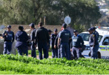 Triple Murder Probe Launched After Three Young Men Found Shot Dead in KwaNobuhle