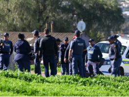 Triple Murder Probe Launched After Three Young Men Found Shot Dead in KwaNobuhle