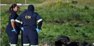 Burnt With Tyres Metres Apart – Four Bodies Found Burned Near N7 Off-Ramp In Dunoon