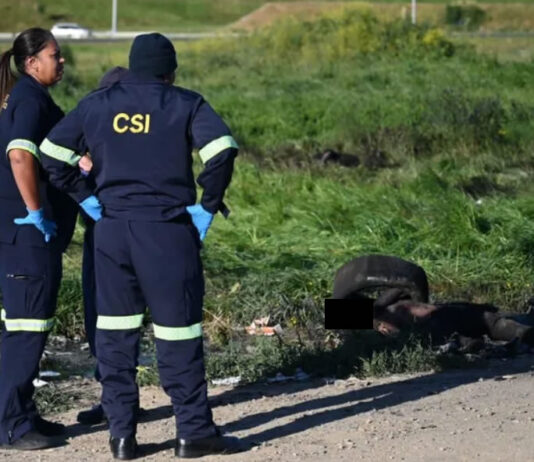 Burnt With Tyres Metres Apart – Four Bodies Found Burned Near N7 Off-Ramp In Dunoon