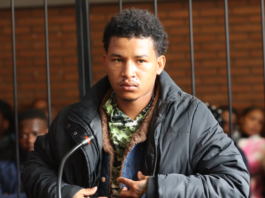 "He Wanted To Climb The Ranks": Reiger Park police killings: What we know about accused alleged gang leader Regan Collis