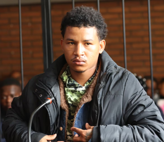 "He Wanted To Climb The Ranks": Reiger Park police killings: What we know about accused alleged gang leader Regan Collis
