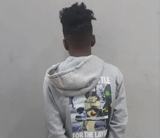 Second suspect arrested: You Won't Believe The Chilling New Evidence Suggesting The Alleged Reiger Park Killer Was Actually The Intended Target!