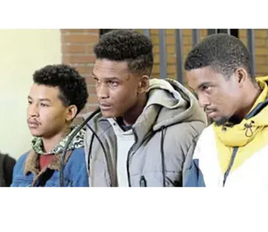 Reiger Park murder accused Collis allegedly found with cellphone in jail again; bail postponed