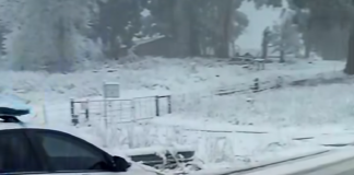"Stay Indoors": Two Killed In Fatal Crash As Record Snow And Bitter Cold Grip South Africa