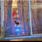 Bullets through the window at 9pm: The terrifying reason why a Salt River man was killed while standing in his lounge