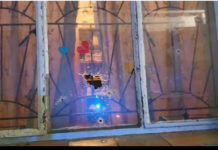 Bullets through the window at 9pm: The terrifying reason why a Salt River man was killed while standing in his lounge