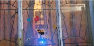 Bullets through the window at 9pm: The terrifying reason why a Salt River man was killed while standing in his lounge