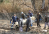 Four Men Found Shot Dead In Gqeberha – Police Appeal For Witnesses After Gruesome Discovery