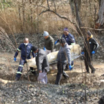 Four Men Found Shot Dead In Gqeberha – Police Appeal For Witnesses After Gruesome Discovery