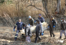 Four Men Found Shot Dead In Gqeberha – Police Appeal For Witnesses After Gruesome Discovery