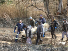 Four Men Found Shot Dead In Gqeberha – Police Appeal For Witnesses After Gruesome Discovery