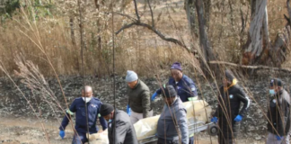 Four Men Found Shot Dead In Gqeberha – Police Appeal For Witnesses After Gruesome Discovery